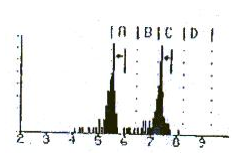 RAD7連續(xù)測(cè)氡儀說明書-19