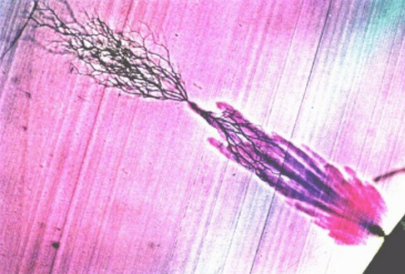 HVA45TD,<a href='http://fsaowin.com/Ppzq/b2.html'>B2HV</a>