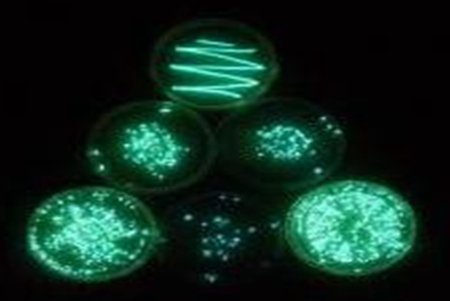 Microtox&reg; FX,便攜式水質(zhì)毒性檢測(cè)儀