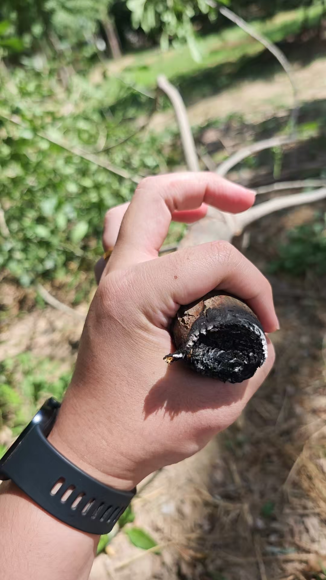 激光清障儀除樹(shù)障現(xiàn)場(chǎng) 激光清障儀除樹(shù)障現(xiàn)場(chǎng)