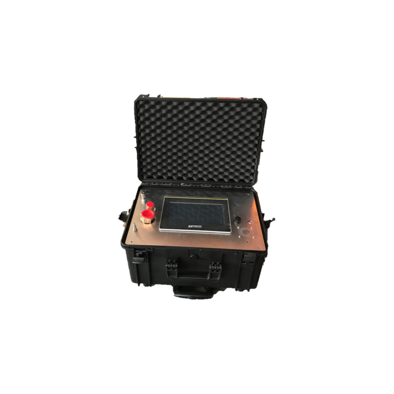 意大利synecom&emsp;ALY101-06 SF6分析儀