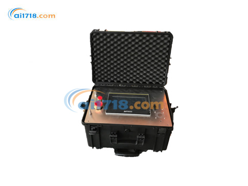 ALY101-06 SF6分析儀