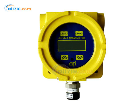 D12-IR紅外可燃?xì)怏w檢測儀