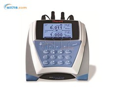 D10P-06臺(tái)式低鈉離子濃度測(cè)量儀