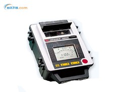 BM11D絕緣電阻測(cè)試儀
