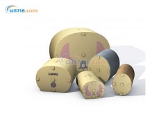 007TE-16組織等效胸腔CT劑量假體-矮個(gè)成人